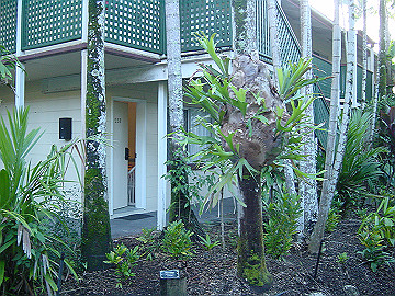 20060814_030_thumb.jpg