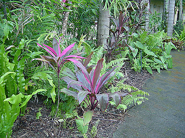 20060814_050_thumb.jpg