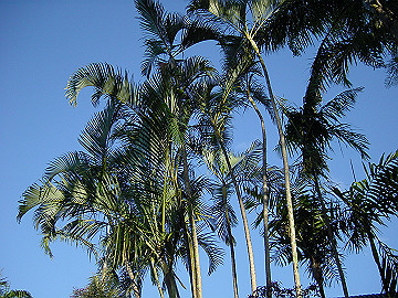 20060814_060_thumb.jpg