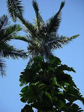 20060814_070_thumb.jpg