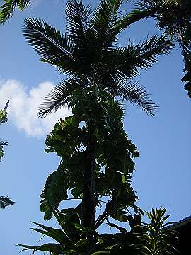 20060814_080_thumb.jpg