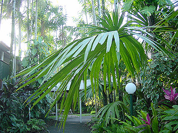 20060814_090_thumb.jpg