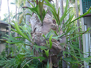 20060814_100_thumb.jpg