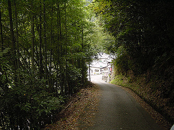 20061020_020_thumb.jpg