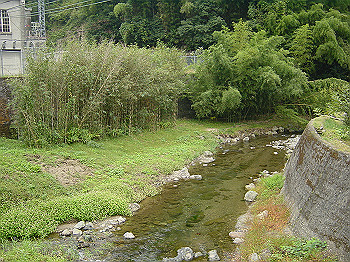 20061020_040_thumb.jpg