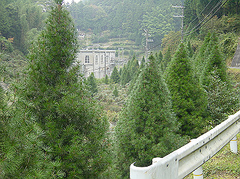 20061020_050_thumb.jpg