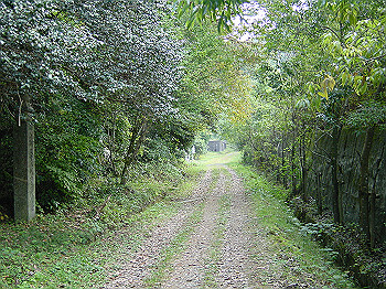 20061020_095_thumb.jpg