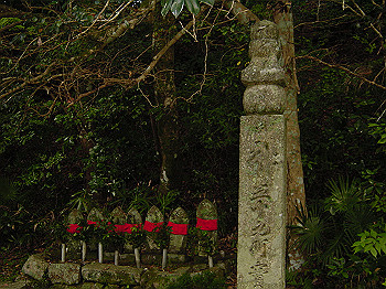 20061020_100_thumb.jpg