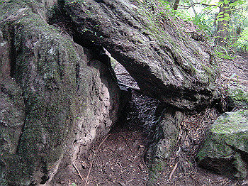 20061020_125_thumb.jpg