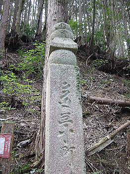 20061020_175_thumb.jpg
