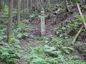 20061020_200_thumb.jpg
