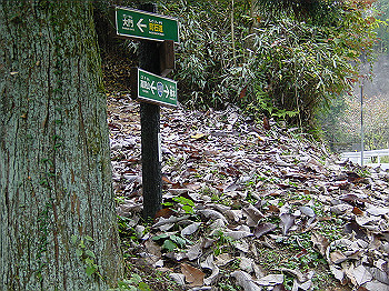 20061020_235_thumb.jpg