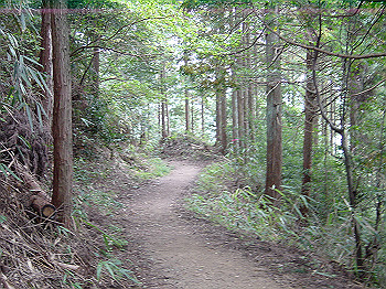 20061020_245_thumb.jpg
