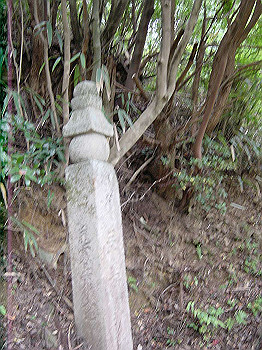 20061020_250_thumb.jpg