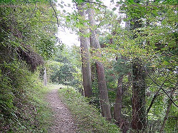 20061020_260_thumb.jpg
