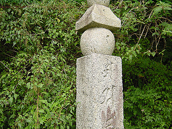 20061020_265_thumb.jpg