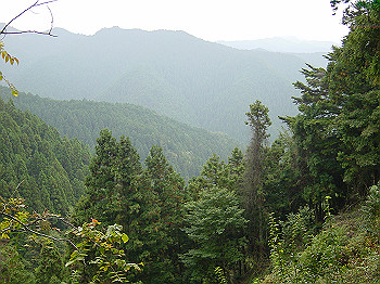 20061020_270_thumb.jpg
