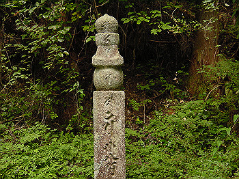 20061020_300_thumb.jpg