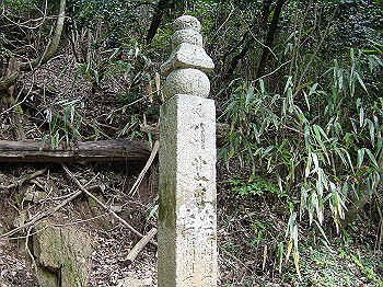 20061020_315_thumb.jpg
