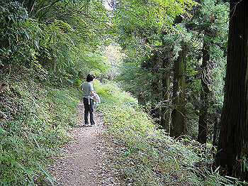 20061020_320_thumb.jpg