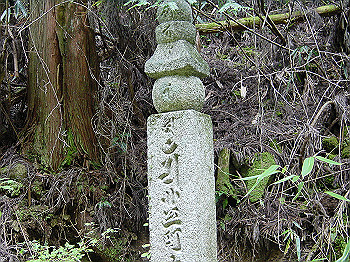 20061020_345_thumb.jpg