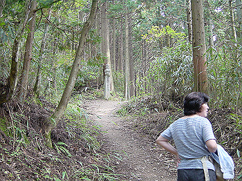 20061020_350_thumb.jpg