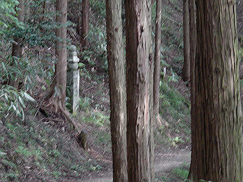 20061020_355_thumb.jpg