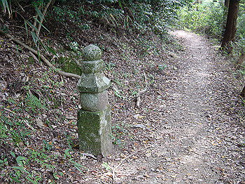 20061020_385_thumb.jpg