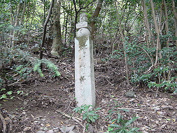20061020_395_thumb.jpg