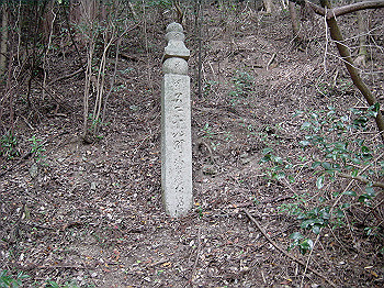 20061020_400_thumb.jpg