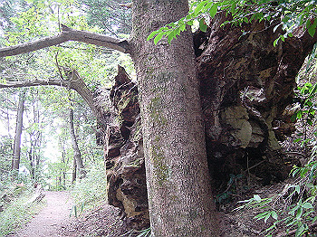 20061020_405_thumb.jpg