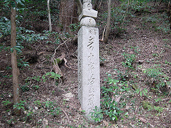 20061020_410_thumb.jpg