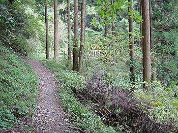 20061020_415_thumb.jpg