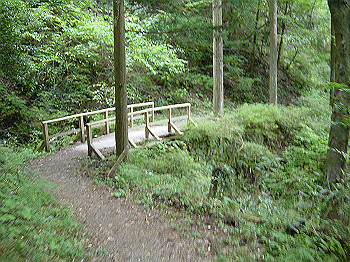 20061020_425_thumb.jpg