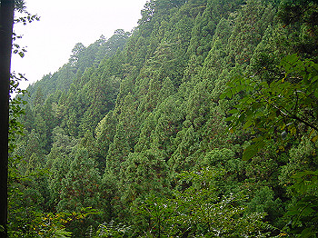 20061020_430_thumb.jpg