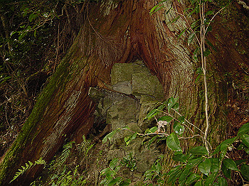 20061020_450_thumb.jpg