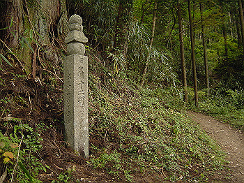 20061020_465_thumb.jpg