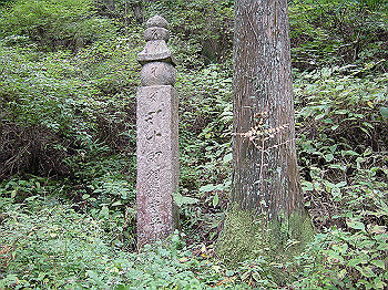 20061020_490_thumb.jpg