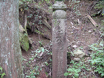 20061020_505_thumb.jpg