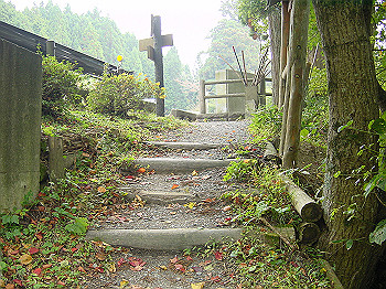 20061020_520_thumb.jpg