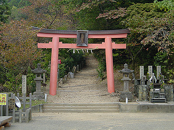 20061020_545_thumb.jpg