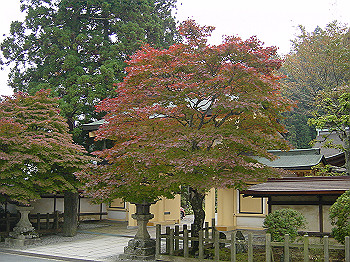 20061020_600_thumb.jpg