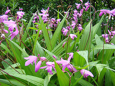 20070519_080_thumb.jpg