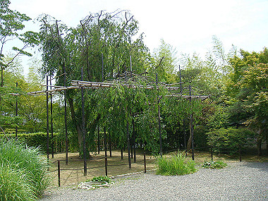 20070605_190_thumb.jpg