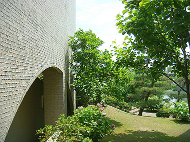 20070605_450_thumb.jpg