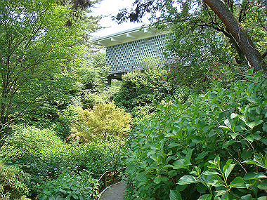 20070605_680_thumb.jpg