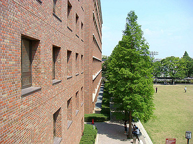 20070612_010_thumb.jpg