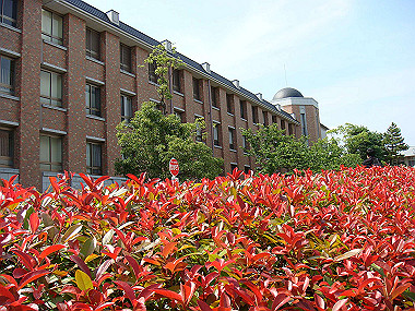 20070612_070_thumb.jpg