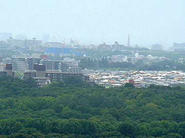 20070630_090_thumb.jpg