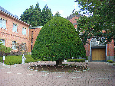 20070829_180_thumb.jpg